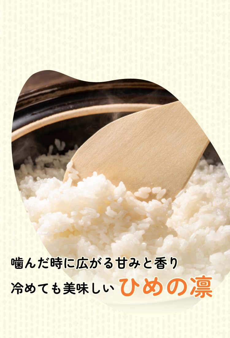 噛んだ時に広がる甘みと香り冷めても美味しい「ひめの凛」